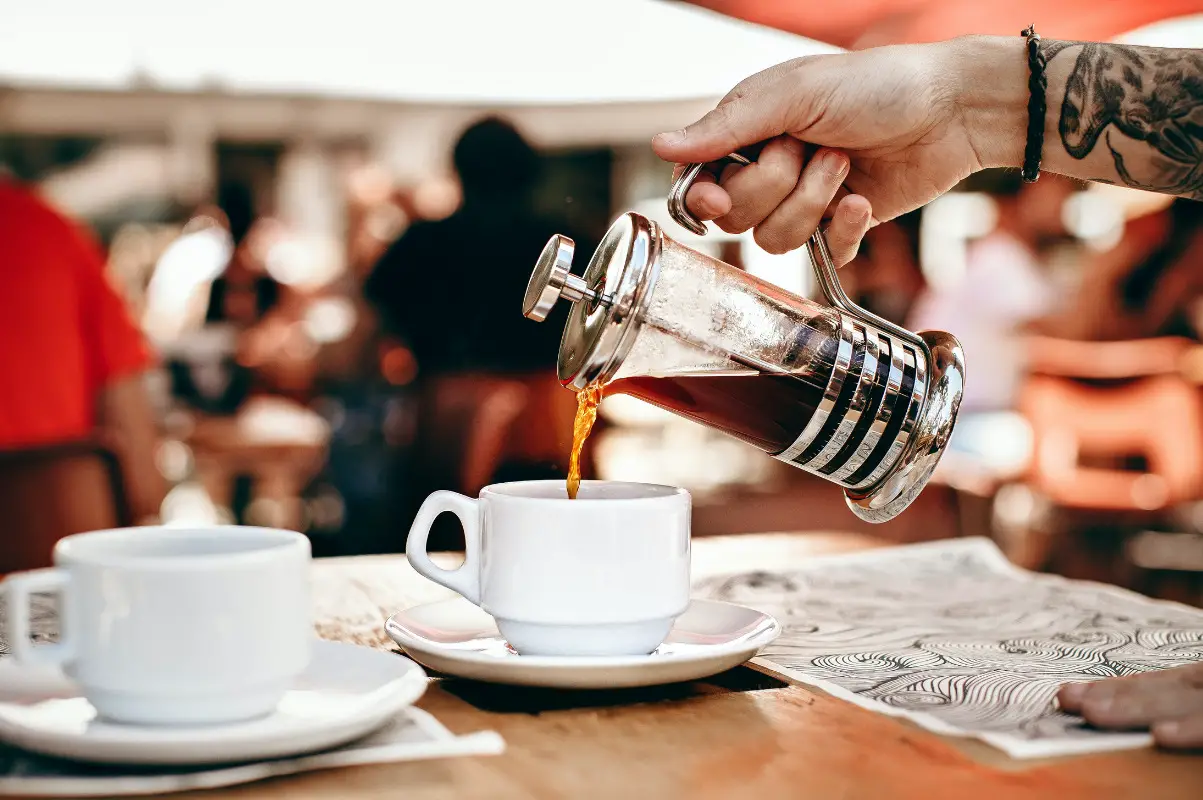 Is French Press Better than Drip Coffee? Everything You Need to Know