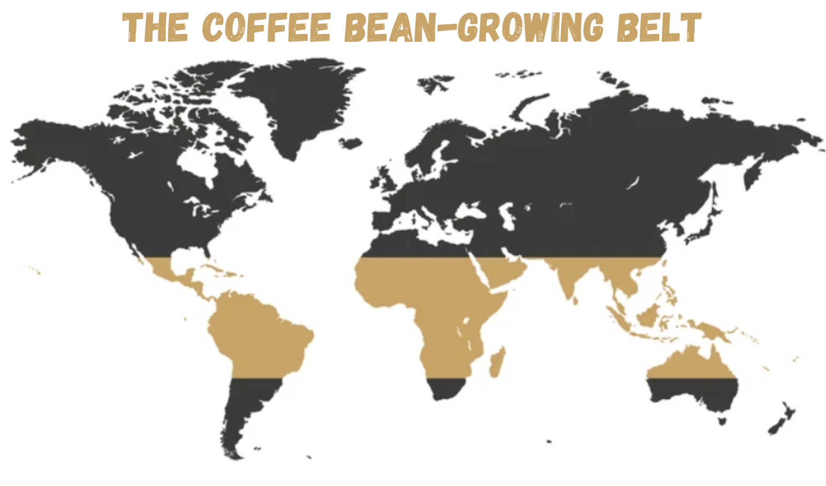 The Coffee Bean-Growing Belt