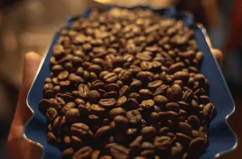 11 Best Coffee Beans You Need to Try for Espresso