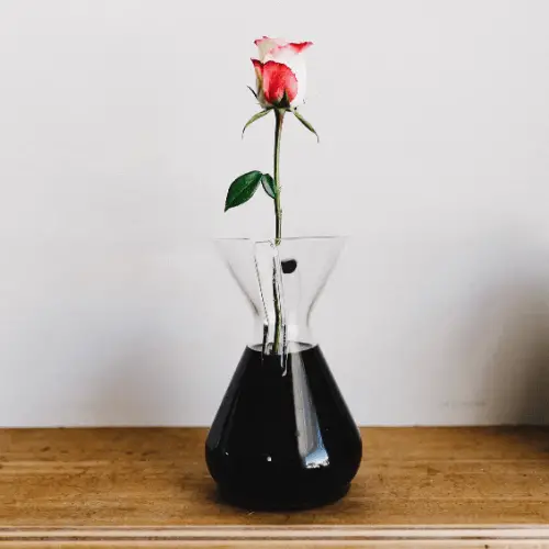 pour over rose (1)
