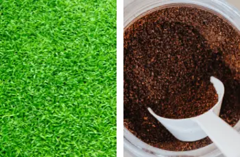Will Coffee Grounds Kill Your Grass or Protect Your Lawn?