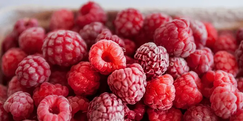 Starbucks Raspberry Drinks