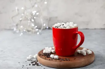 List of all Starbucks Hot Chocolate Drinks